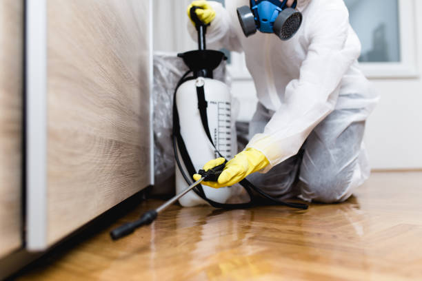 Professional Pest Control in Forney, TX