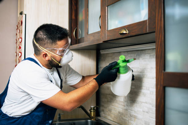 Best Exterminator Services  in Forney, TX