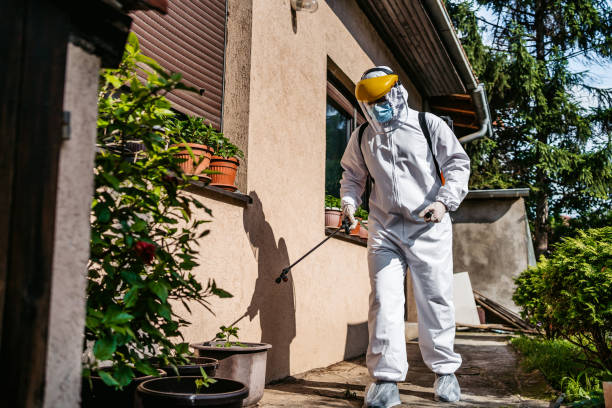 Best Rodent Control Near Me  in Forney, TX