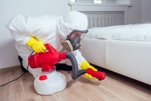 Best Emergency Pest Control  in Forney, TX