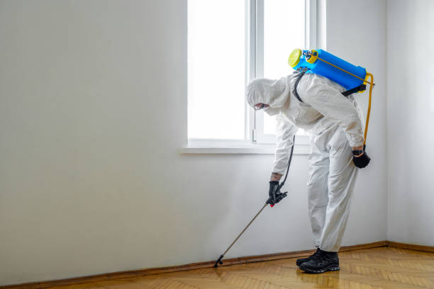 Best Pest Removal Services  in Forney, TX