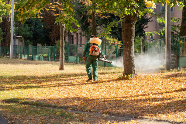 Best Rodent Control Near Me  in Forney, TX